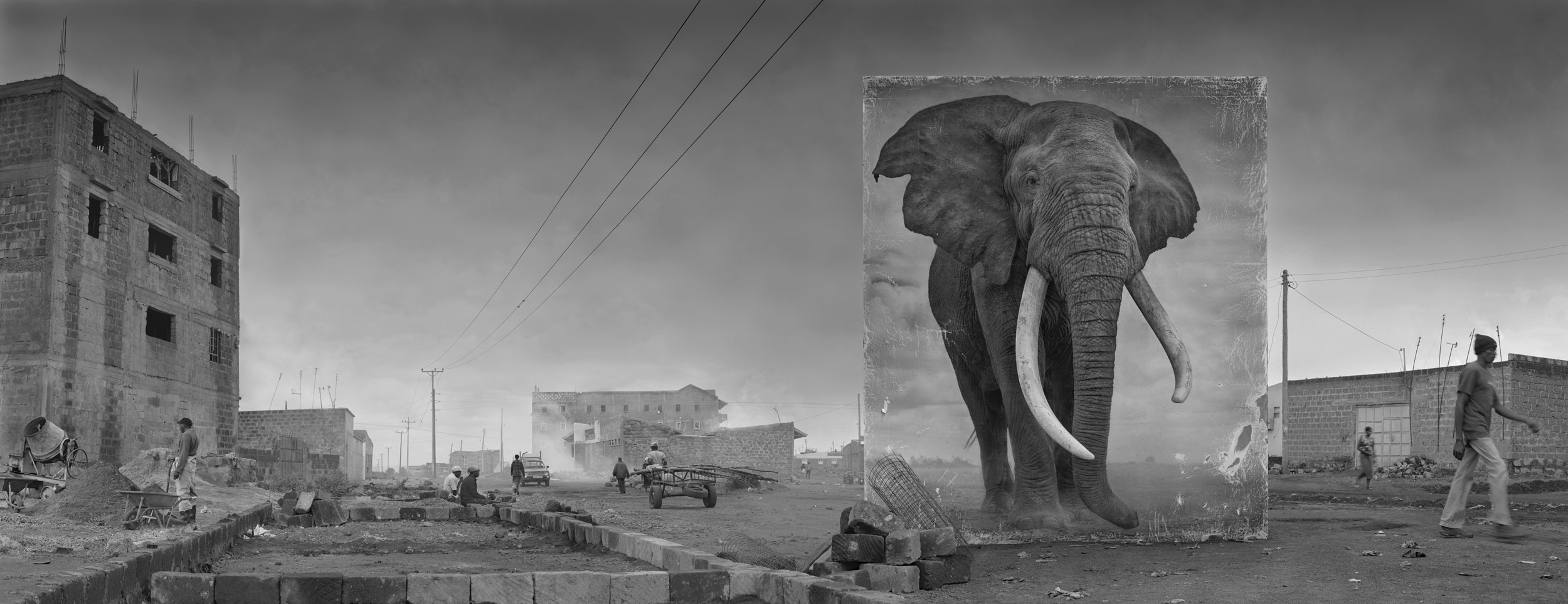 ROAD-WITH-ELEPHANT