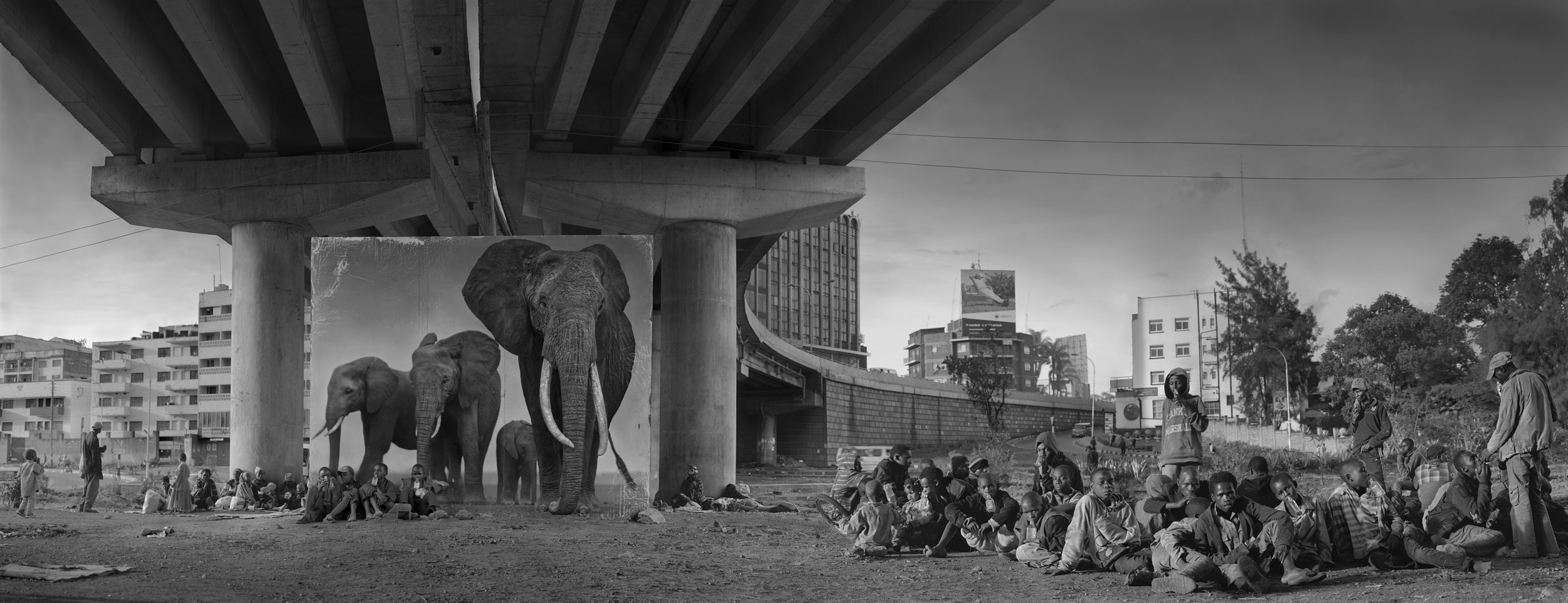 UNDERPASS-WITH-ELEPHANTS-and-GLUE-SNIFFING-CHILDREN