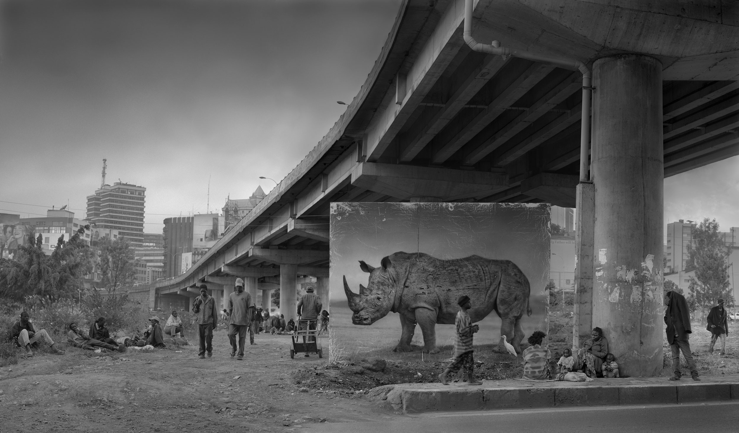 UNDERPASS-WITH-RHINO-and-EGRET