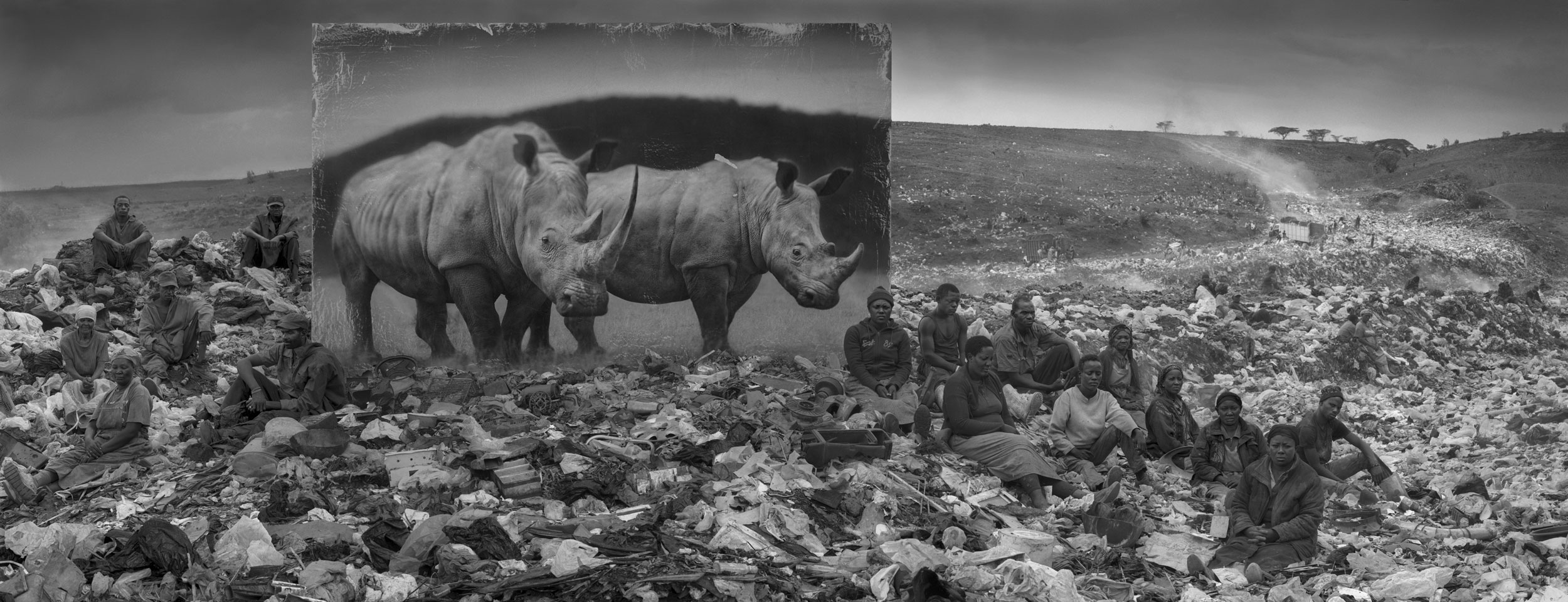 WASTELAND-WITH-RESIDENTS-and-RHINOS